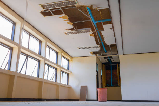 Best Flooded house restoration  in Grant, MI