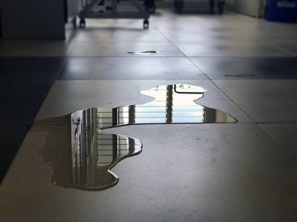 Best 24/7 water damage repair  in Grant, MI