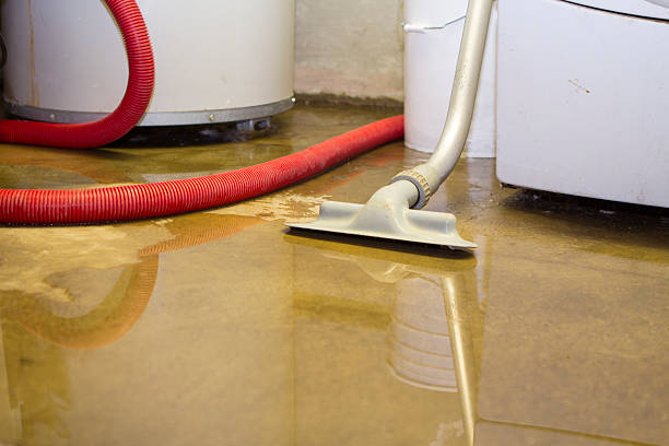 Best Ceiling water damage repair  in Grant, MI