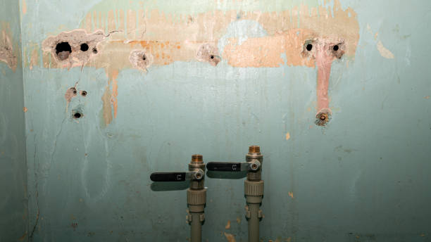 Best Commercial water damage restoration  in Grant, MI