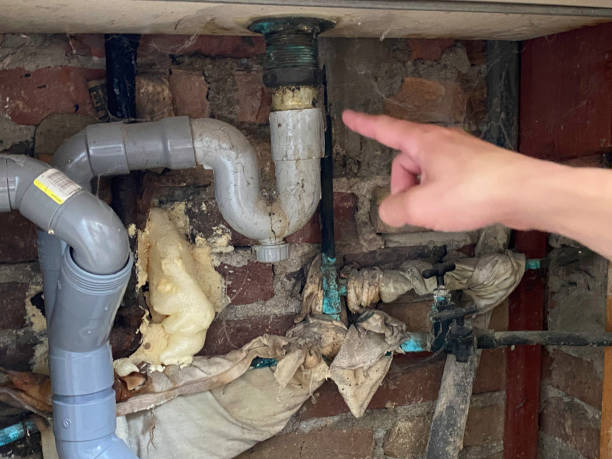 Best Mold removal after water damage  in Grant, MI