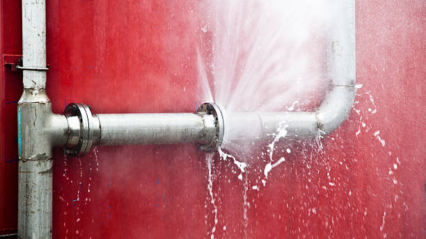 Carpet water damage restoration in MI